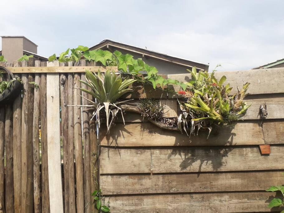 Casa Proximo A Praias, Trilhas E Cachoeiras. Garopaba Zewnętrze zdjęcie