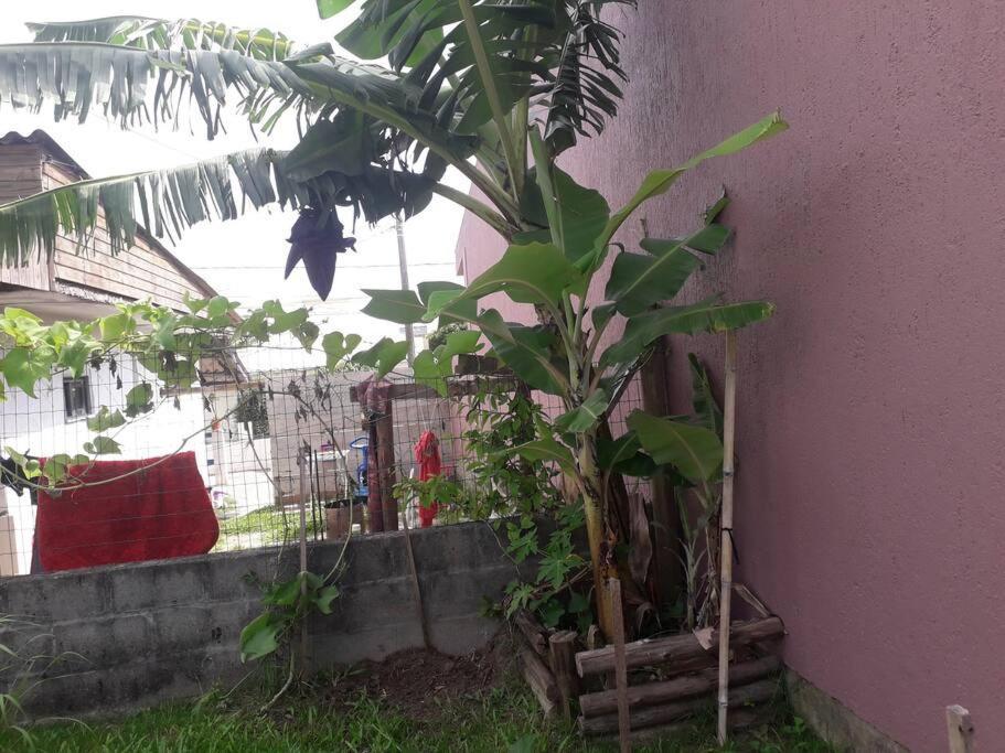 Casa Proximo A Praias, Trilhas E Cachoeiras. Garopaba Zewnętrze zdjęcie