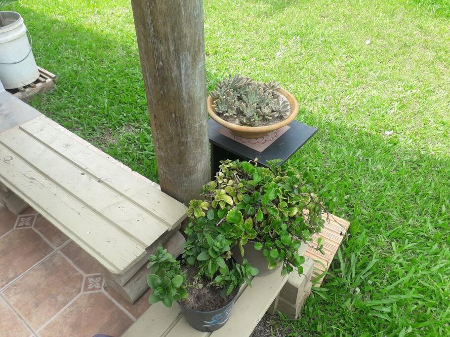 Casa Proximo A Praias, Trilhas E Cachoeiras. Garopaba Zewnętrze zdjęcie